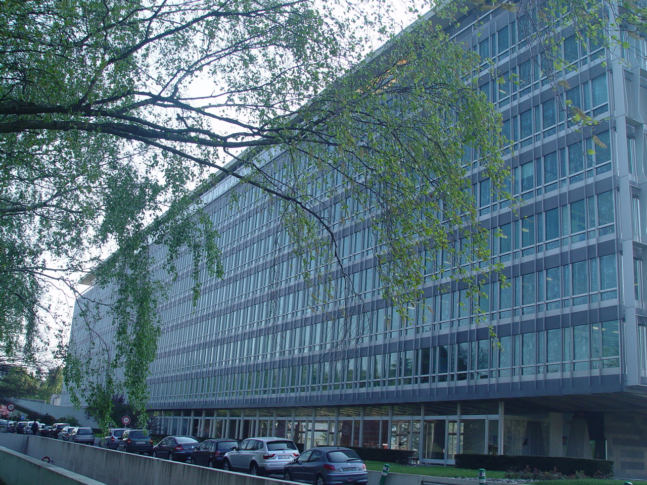 dsc09981