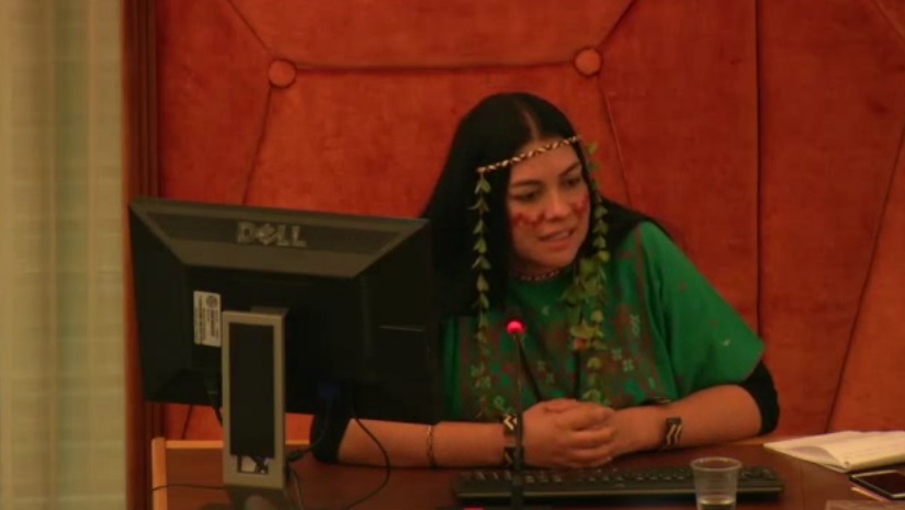 Text Protecting Indigenous Cultural Expressions Streamlined At WIPO, But Divergence Persists