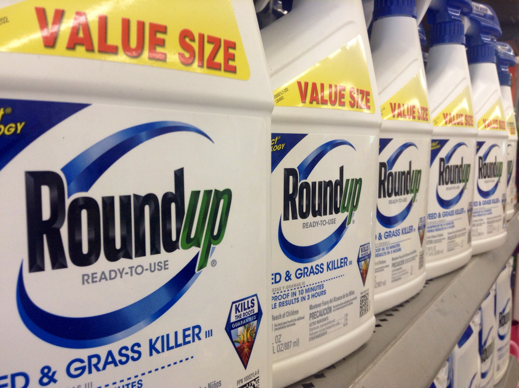Roundup2