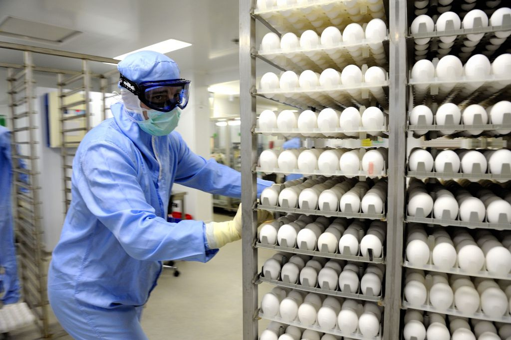 World Health Assembly Topic: Pandemic Flu Financing, Virus Sharing, Extension Flu vaccine production