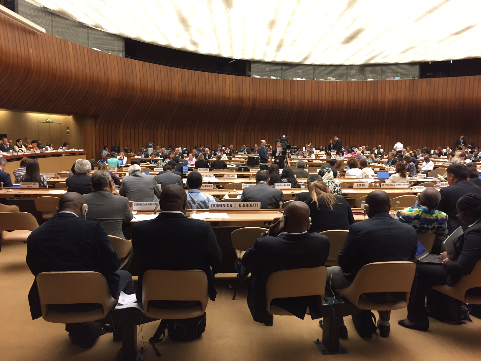 Decision On Pandemic Flu Framework At WHA: Look Closer At Changes