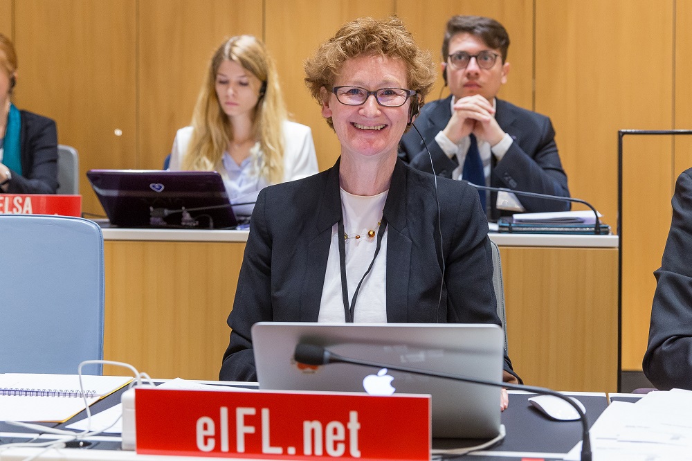 EIFL Looks Forward To An Exciting 2019 At WIPO