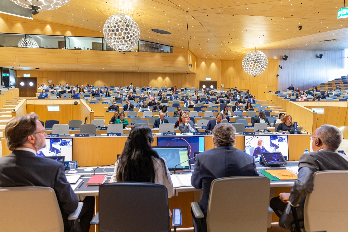 WIPO Traditional Knowledge, Folklore Committee Closes In Consensus; Experts To Help