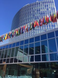 WIPO Election: Who Will Run To Be The Next Director General?