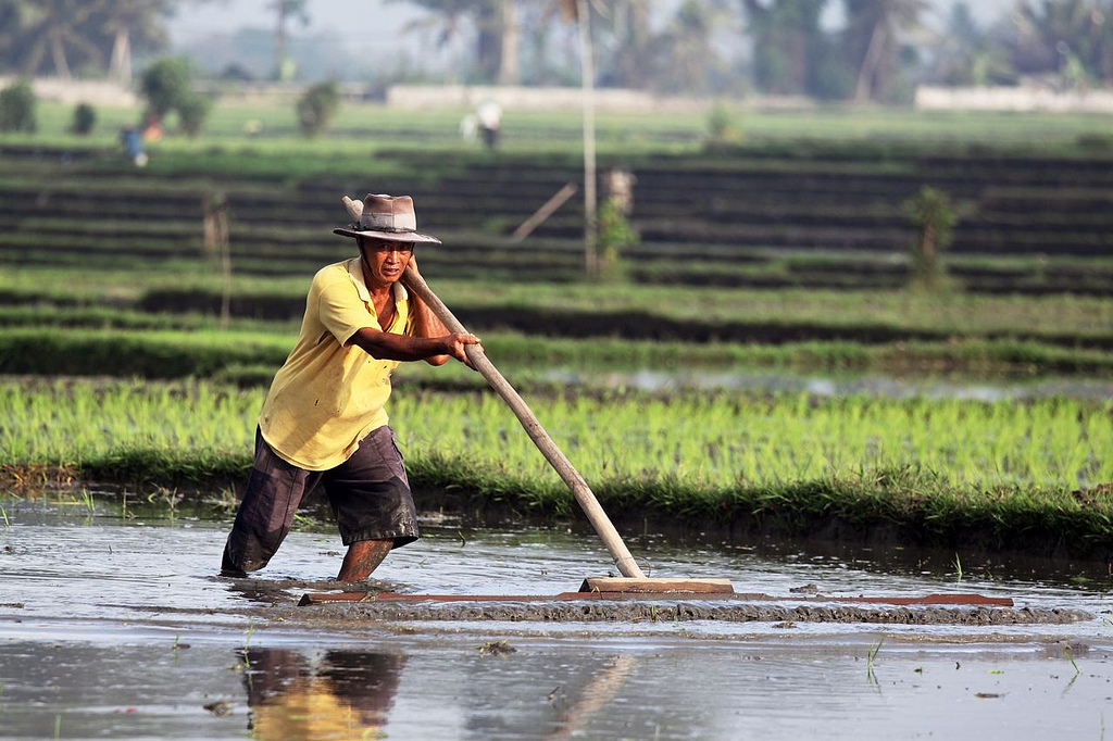 Farmer