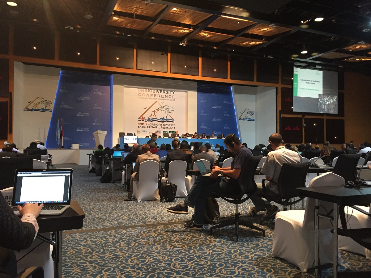 Gene Editing Divides UN Biodiversity Convention Members On Synthetic Biology Evaluation