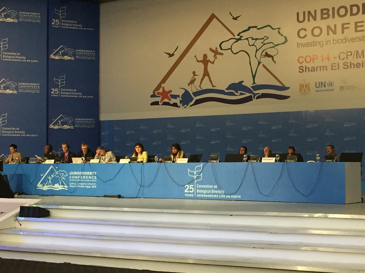 UN Biodiversity Convention Agrees On Precautionary Approach To Synthetic Biology
