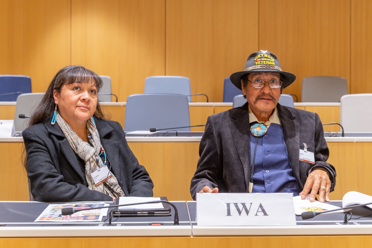 WIPO Members Agree On Revision Of Draft Treaty On Protection of TK, Folklore