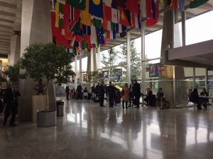 India, Ecuador, Peru Bring TRIPS Flexibilities Into WHO Universal Health Coverage Discussions