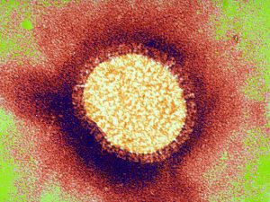 WHO Board Sceptical On Changes To Global Flu Framework, Sends Issue To WHA